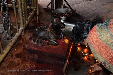 Meenakshi Temple, Madurai,_DSC_8125_H600